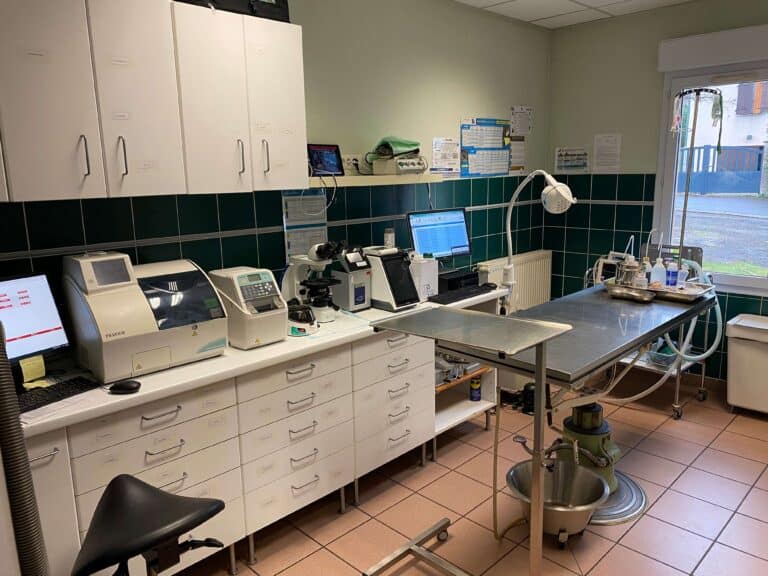 Le laboratoire / salle de soins